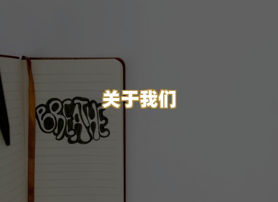 关于我们
